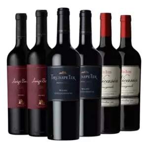 Oferta Vino Luigi Bosca + Rutini + Dv Catena Zapata Caja X 6